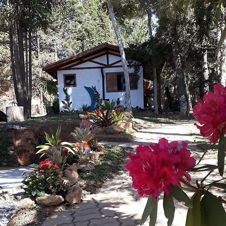 Chales Anecuem Monte Verde  Exterior photo