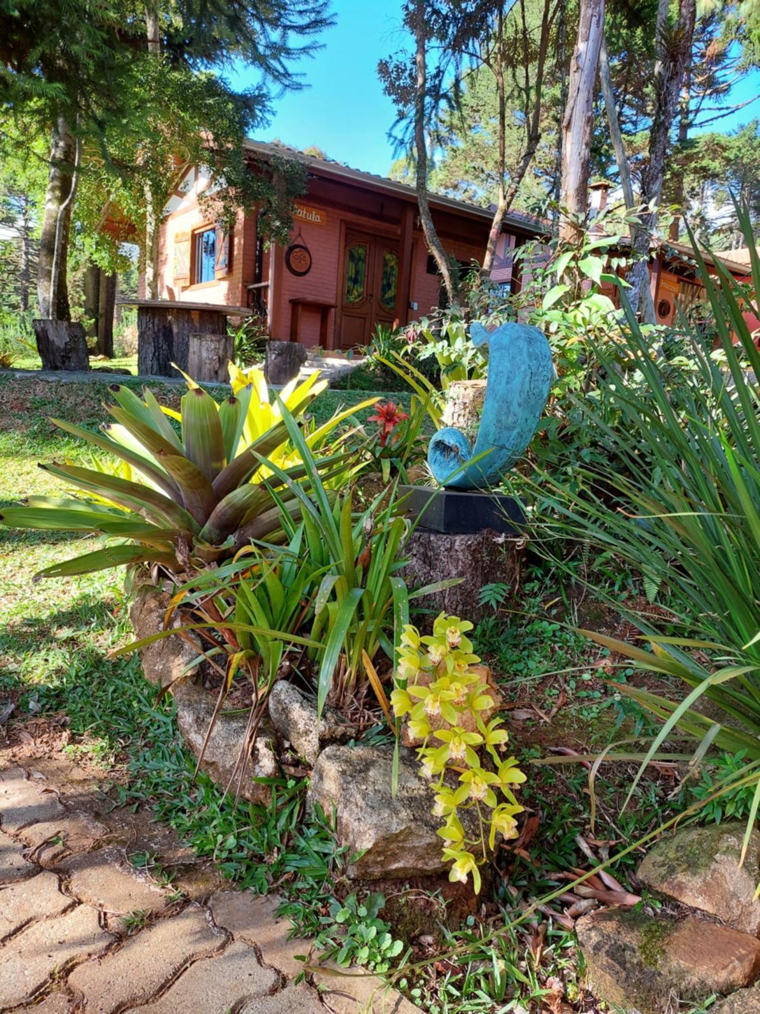 Chales Anecuem Monte Verde  Exterior photo