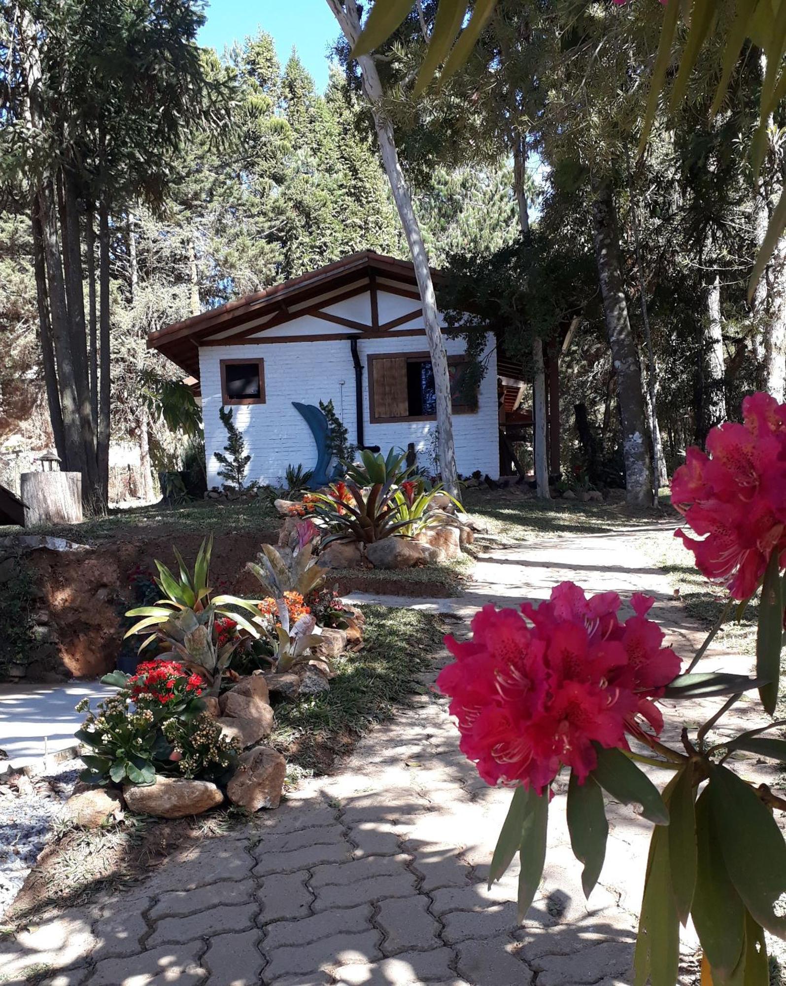 Chales Anecuem Monte Verde  Exterior photo