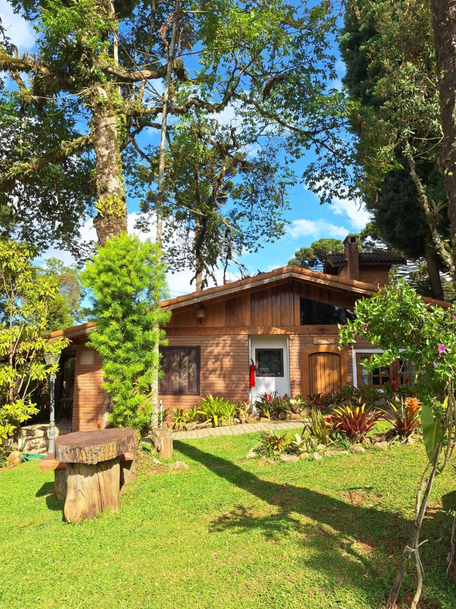 Chales Anecuem Monte Verde  Exterior photo